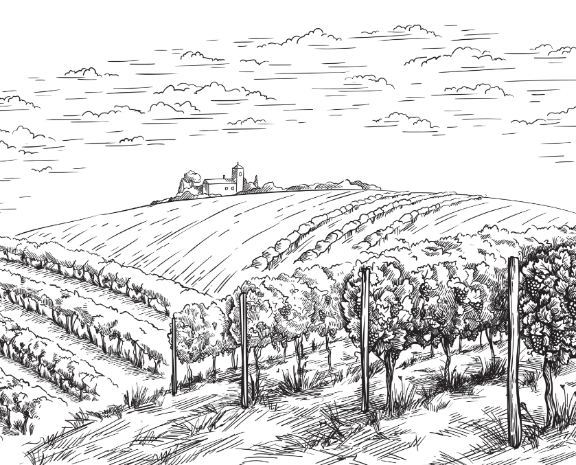 Autentyczne włoskie produkty w sklepie Kuchnia Włoska Kuchnia Włoska - Delikatesy włoskie z produktami prosto z Włoch