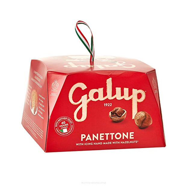 Mini Panettone Tradizionale 
