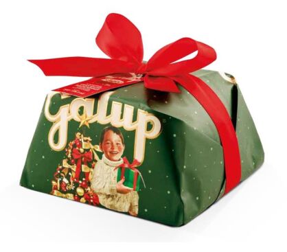 Panettone Tradycyjne Gran Galup 750g