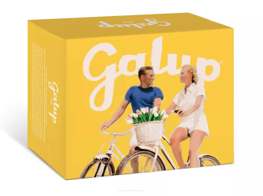 Babka Colomba Cytryna i Morele, Galup, 750g