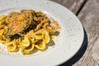 Makaron Orecchiette z pszenicy durum 500g, Pasta Jesce