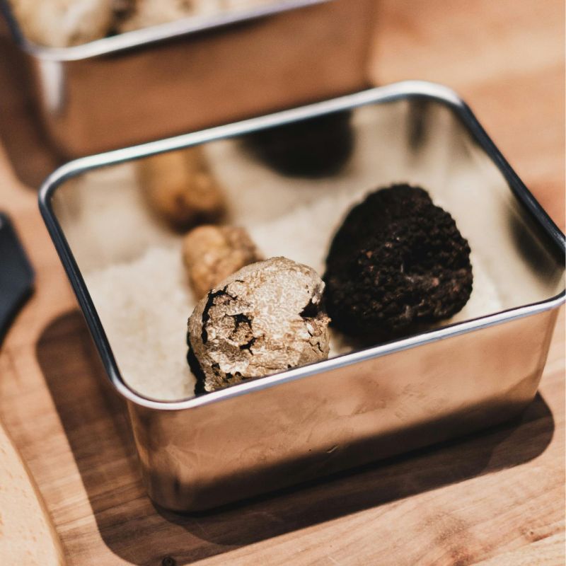 Jak przechowywać trufle by zachowały aromat